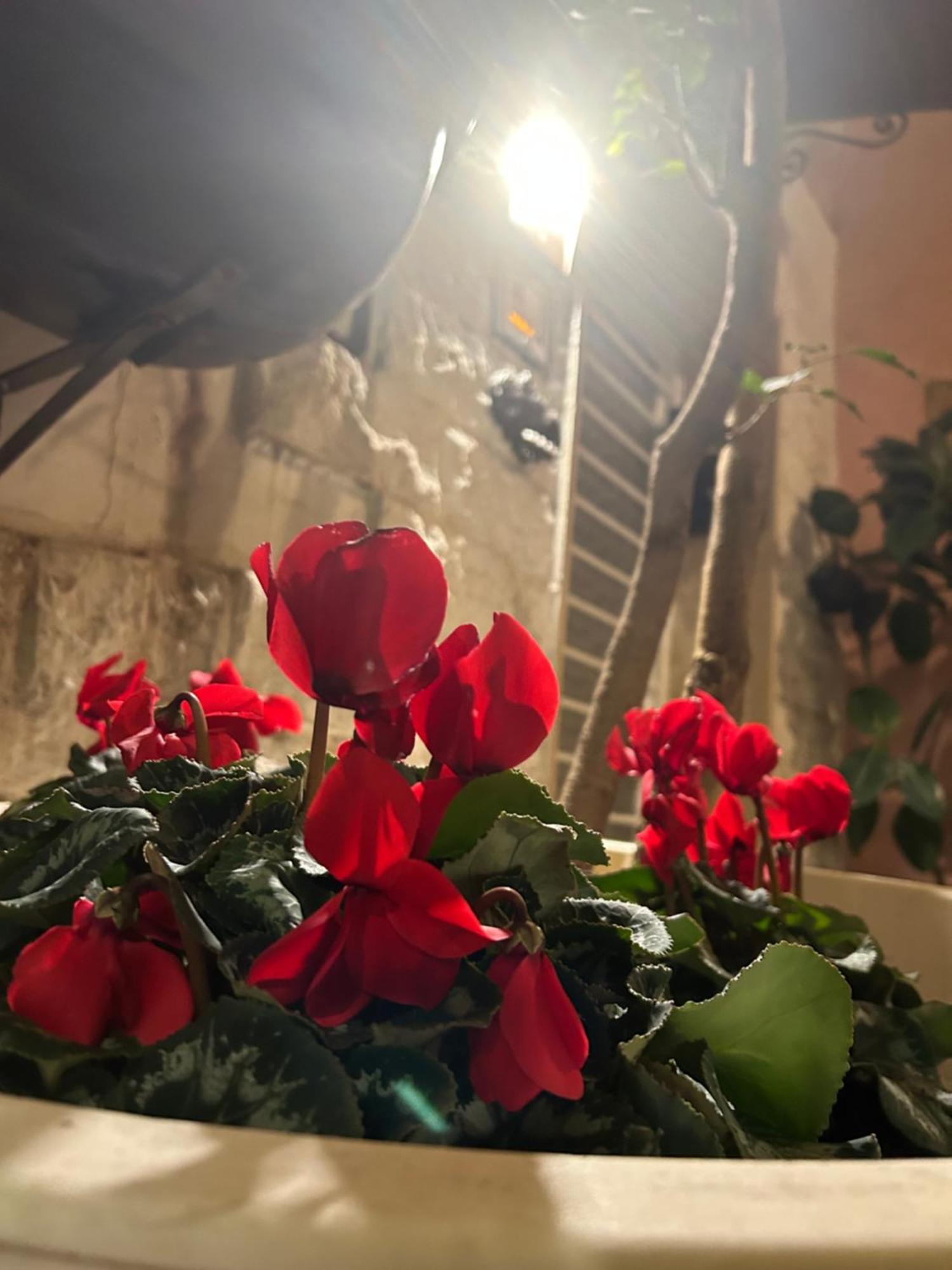 B&B Bari Vecchia R Kültér fotó